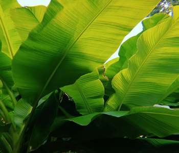 1fc27d2b-5ba9-46e9-82a2-05be369399ec_17_11zon