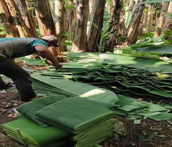 25d1ac8c-e5e1-4af3-87ab-351614adaaf5_5_11zon