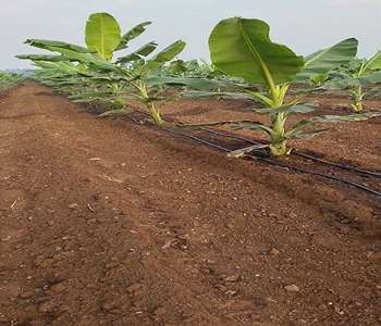 641bad96-1504-41c2-9bbc-0562b29b375a_6_11zon