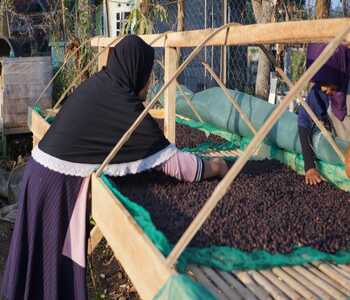 WhatsApp Image 2025-06-07 at 21.59.32