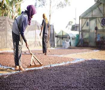 WhatsApp Image 2025-06-07 at 21.59.34 (3)