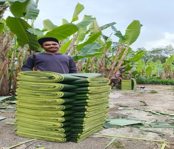 WhatsApp Image 2025-11-25 at 13.44.16