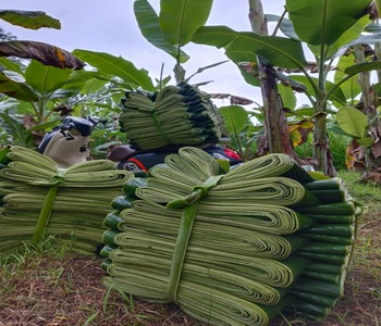 WhatsApp Image 2025-11-25 at 13.45.01 (1)