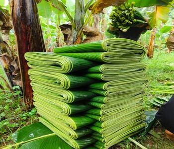 WhatsApp Image 2025-11-25 at 13.45.05_1