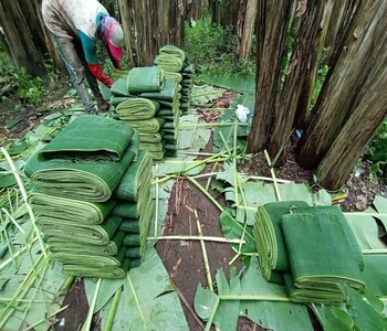 WhatsApp Image 2025-11-25 at 13.46.52