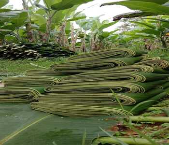 WhatsApp Image 2025-11-25 at 13.46.53