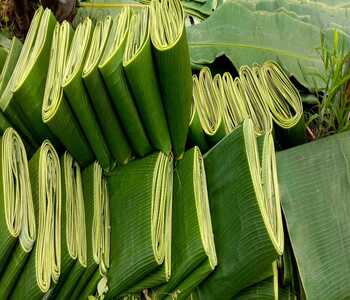 WhatsApp Image 2025-11-25 at 13.46.54