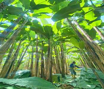 WhatsApp Image 2025-11-25 at 13.46.55