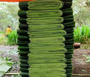 WhatsApp Image 2025-11-25 at 13.46.57