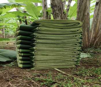 WhatsApp Image 2025-12-14 at 23.00.47