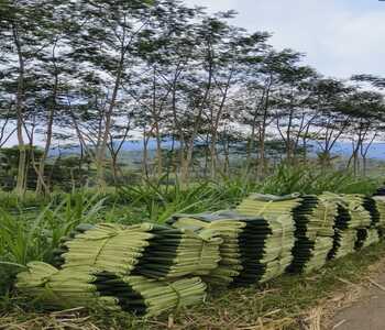 WhatsApp Image 2025-12-14 at 23.01.31